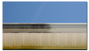 gutter cleaning